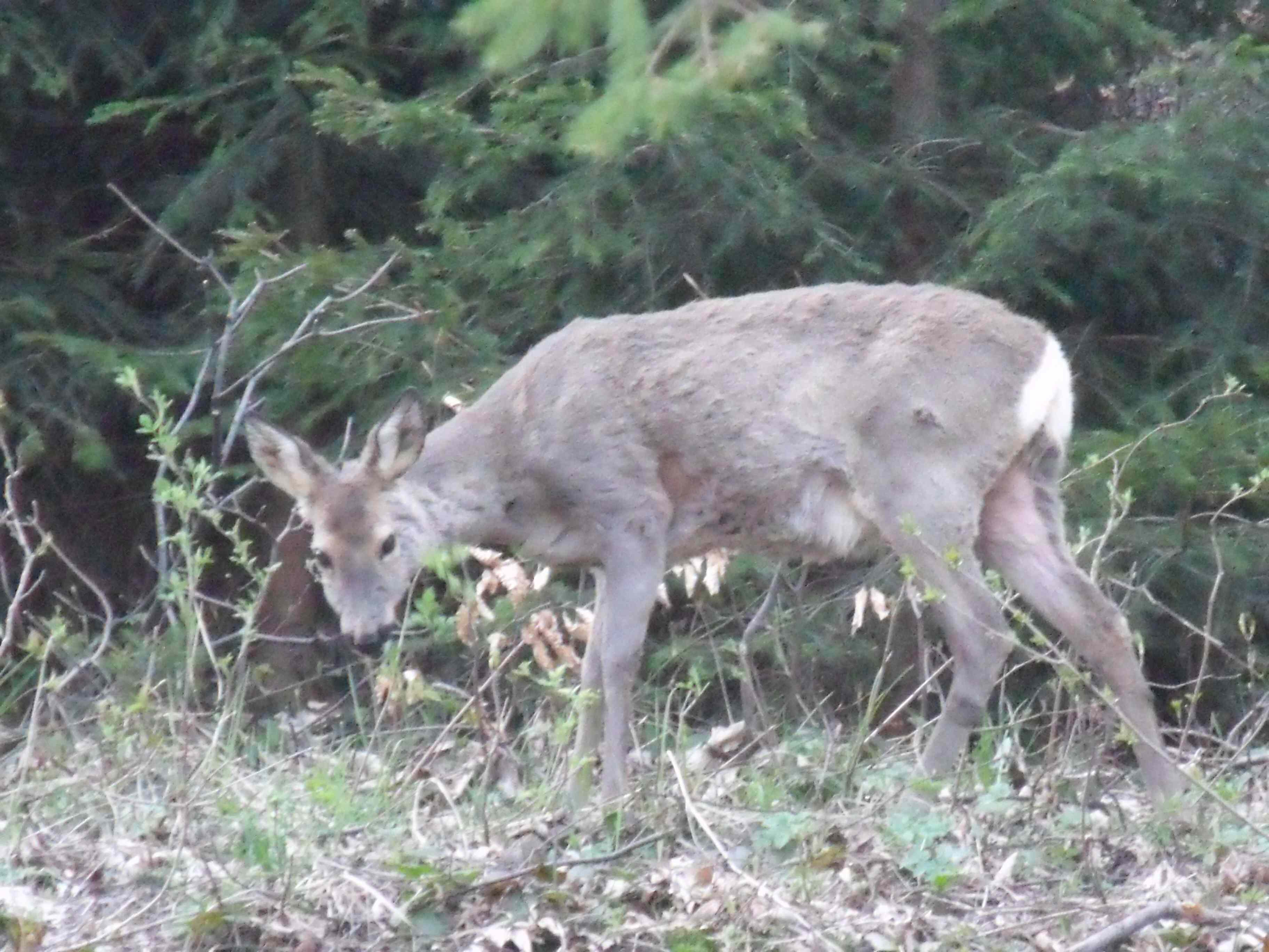2010_05030004